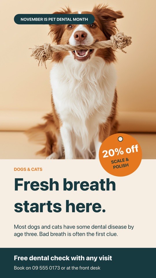 Pet dental month digital signage template (portrait): Dental month poster with a pet ID tag offer and free dental checks